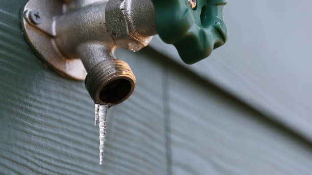 Best Local Plumber Services  in Madison, OH